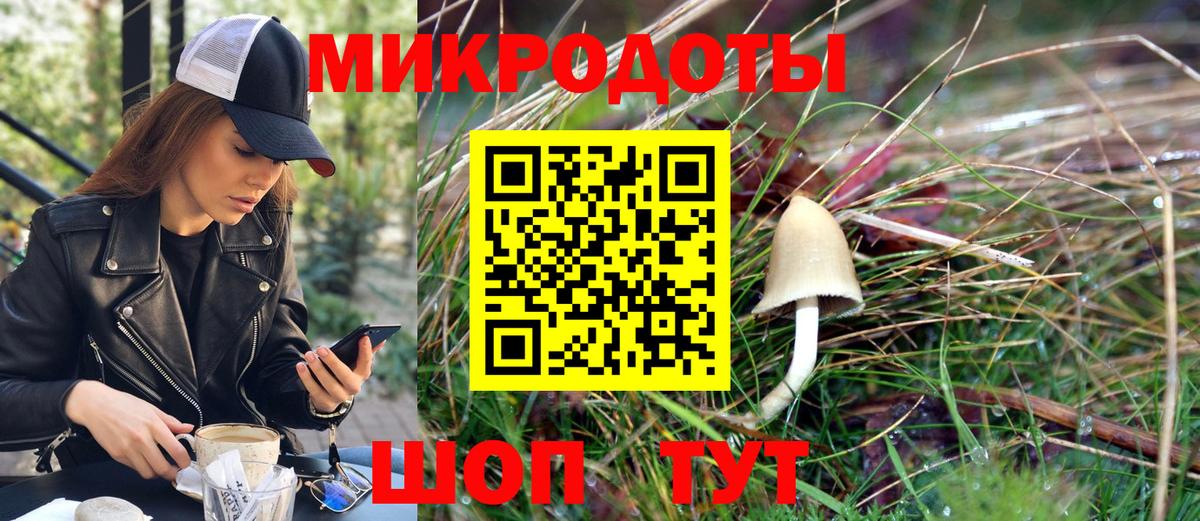Галлюциногенные грибы Psilocybe  Дзержинский 
