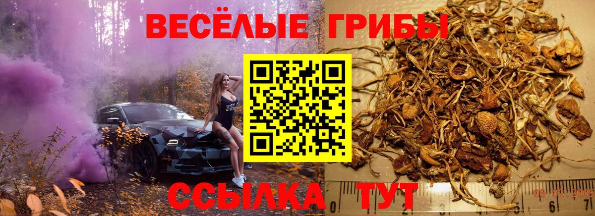 Псилоцибиновые грибы прущие грибы Дзержинский