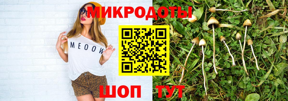 Псилоцибиновые грибы Psilocybine cubensis Дзержинский