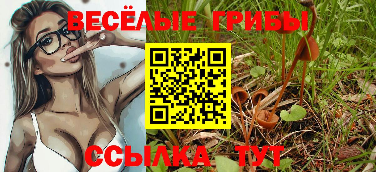 Дзержинский  Галлюциногенные грибы Magic Shrooms  Вход с VPN 